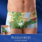 21309559700 polixromo antriko mpoxer svenjoyment mens boxer briefs pinup 1