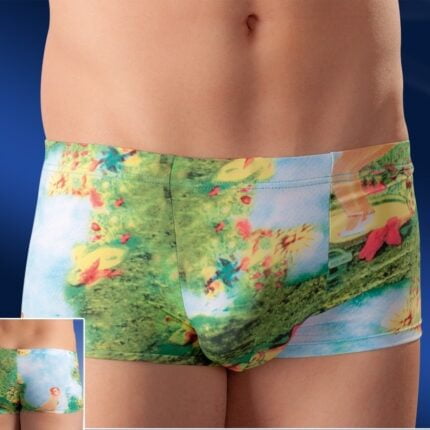 21309559700 polixromo antriko mpoxer svenjoyment mens boxer briefs pinup 2